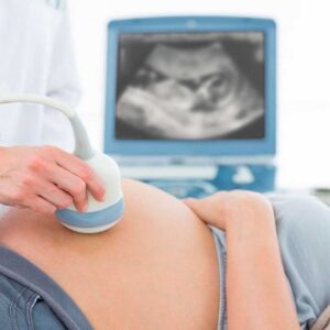 Morfológico do 2° Trimestre